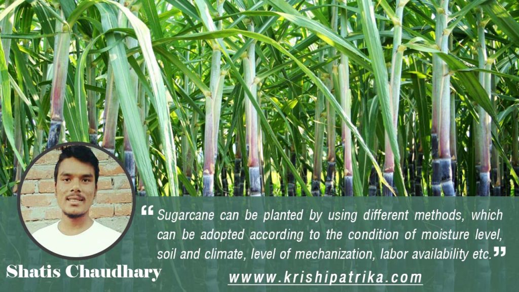 sugarcane-planting-methods