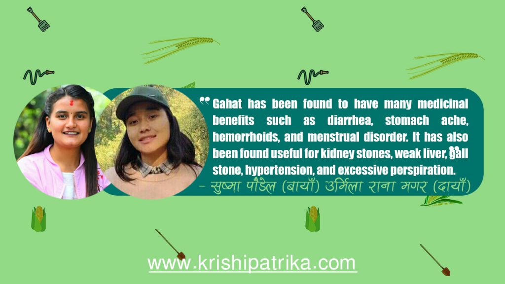 Horse gram (Gahat) Cultivation Techniques कृषि पत्रिका