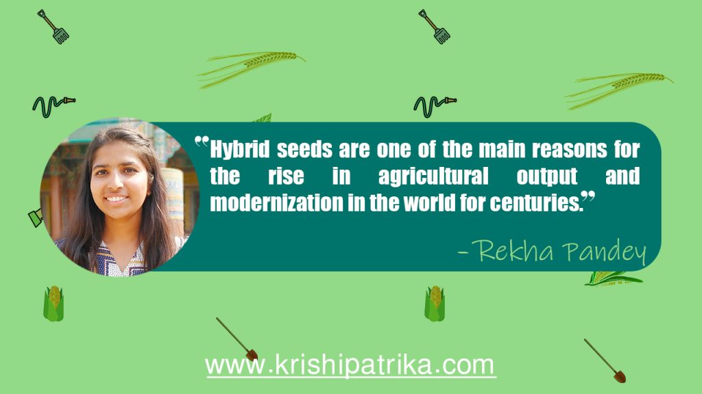 hybrid-seeds-in-nepalese-agriculture